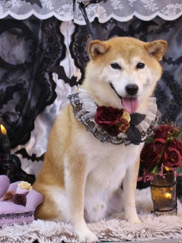 20231010平太くん